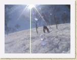 23-03-05-Andy&Nay-AikoSnowboarding-Japan 196 * 640 x 480 * (124KB)